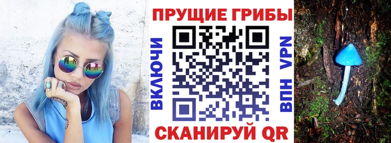 Галлюциногенные грибы мухоморы  Севастополь 